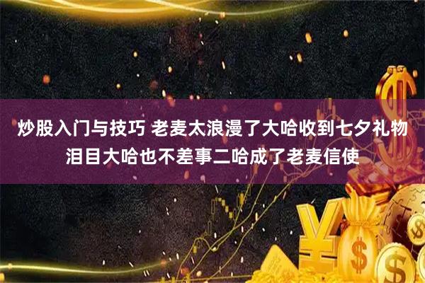 炒股入门与技巧 老麦太浪漫了大哈收到七夕礼物泪目大哈也不差事二哈成了老麦信使